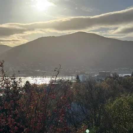 Aurora Panorama *